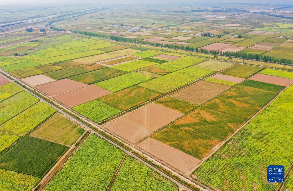 新澳门天天彩资料大全2025年资料